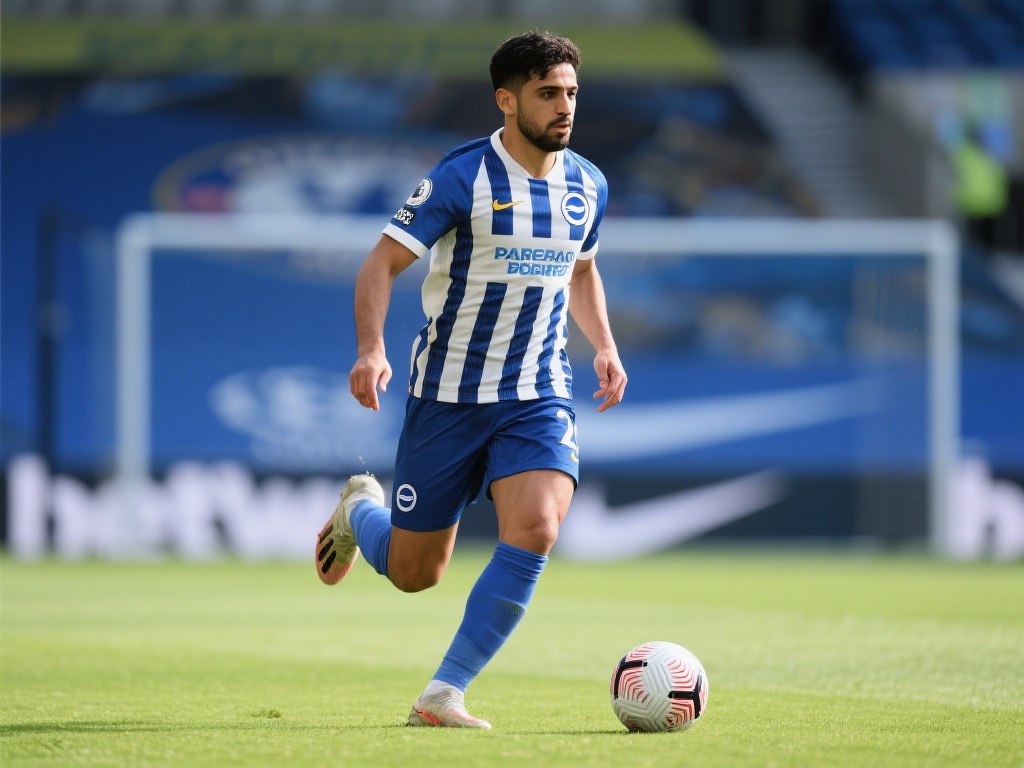 支持与争议 支持与争议